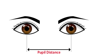 瞳孔間距離　P.D.(Pupil Distance)